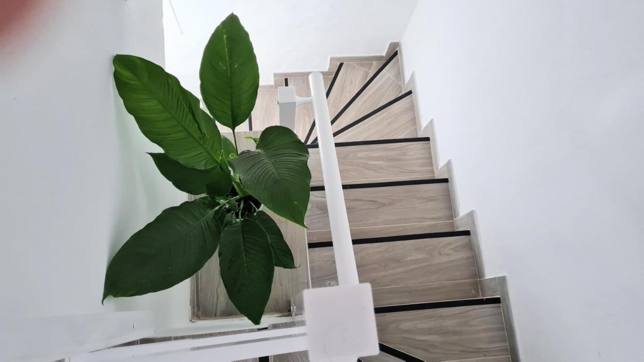 Apartamento Jameo Διαμέρισμα Punta Mujeres Εξωτερικό φωτογραφία